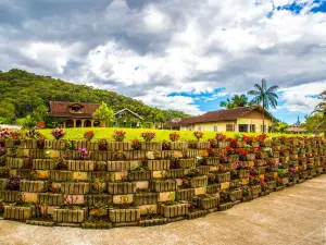 Rota do Enxaimel