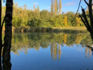Great Notley Country Park