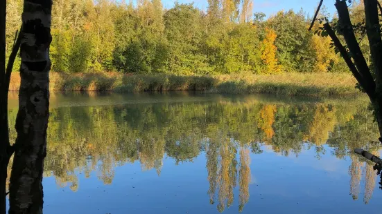 Great Notley Country Park