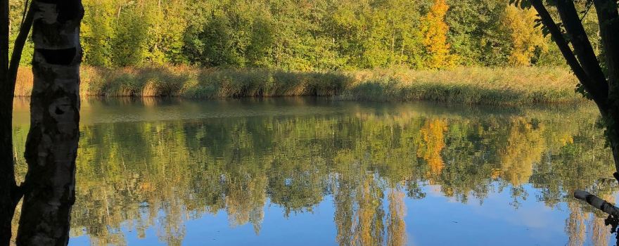 Great Notley Country Park
