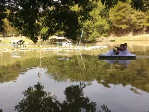 Parque Getúlio Vargas (Parque dos Macaquinhos)