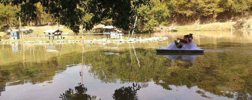 Parque Getúlio Vargas (Parque dos Macaquinhos)