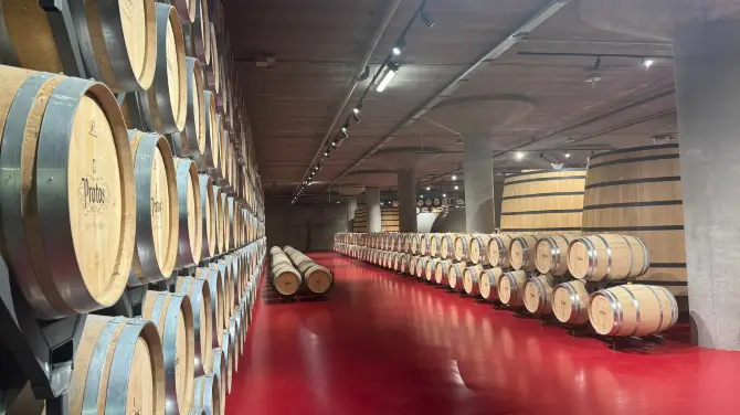 5_Bodegas Protos