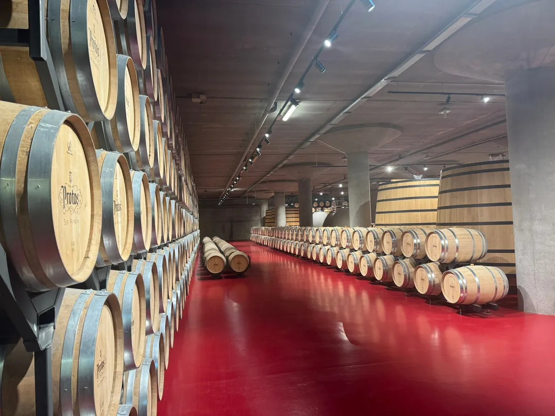 5_Bodegas Protos