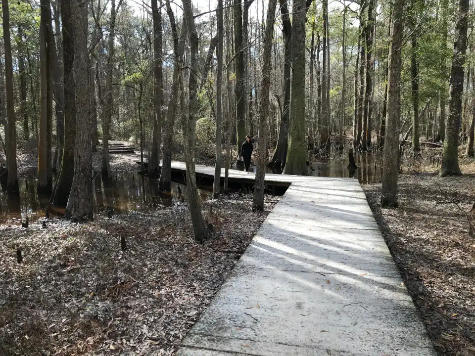 5_Colleton State Park