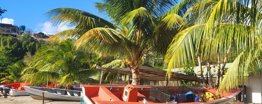 Anse La Raye