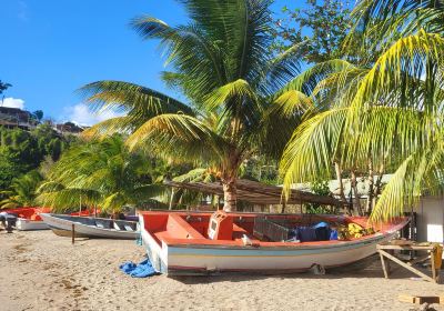 Anse La Raye