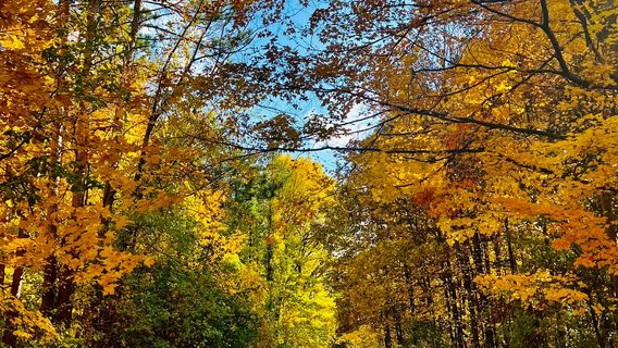 Kensington Metropark