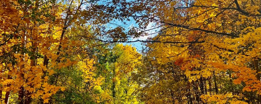 Kensington Metropark