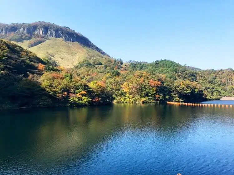 Tohaku District