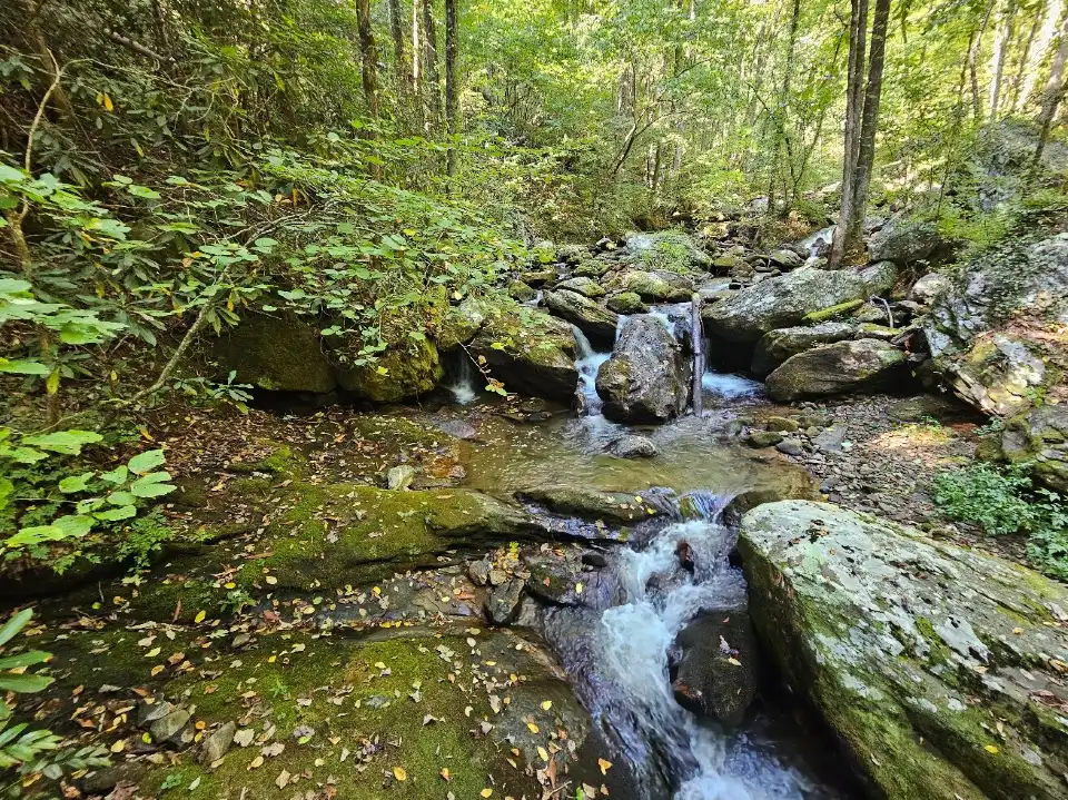 2_Anna Ruby Falls