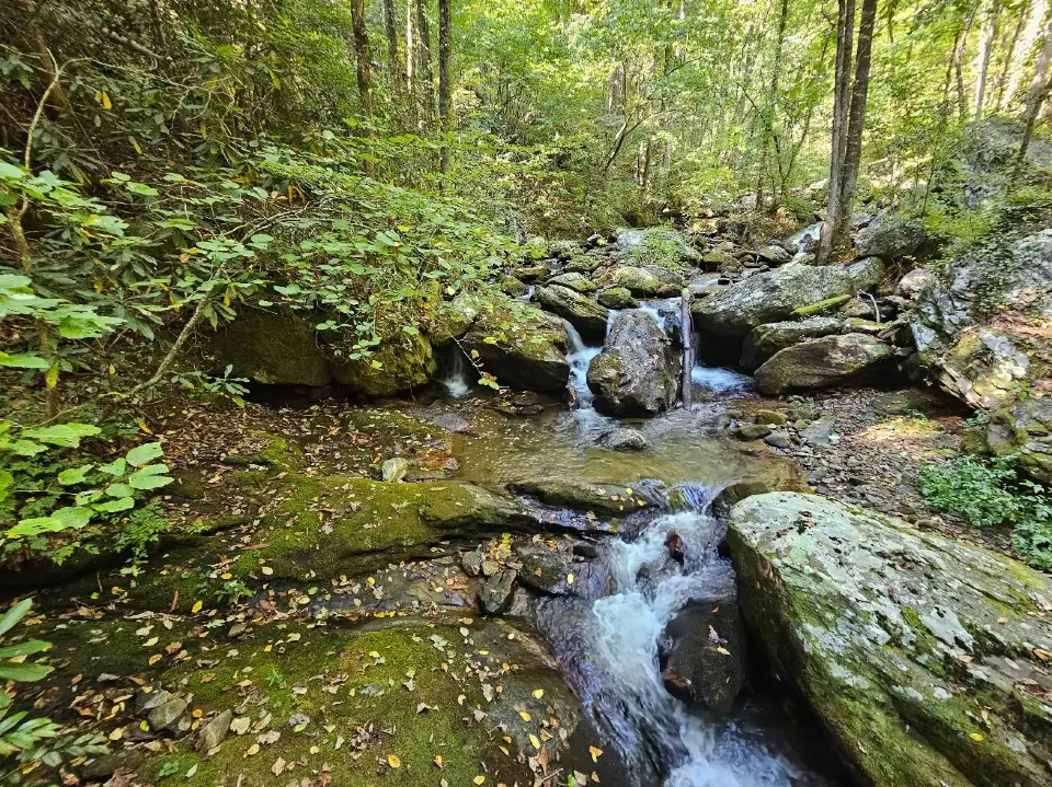 2_Anna Ruby Falls