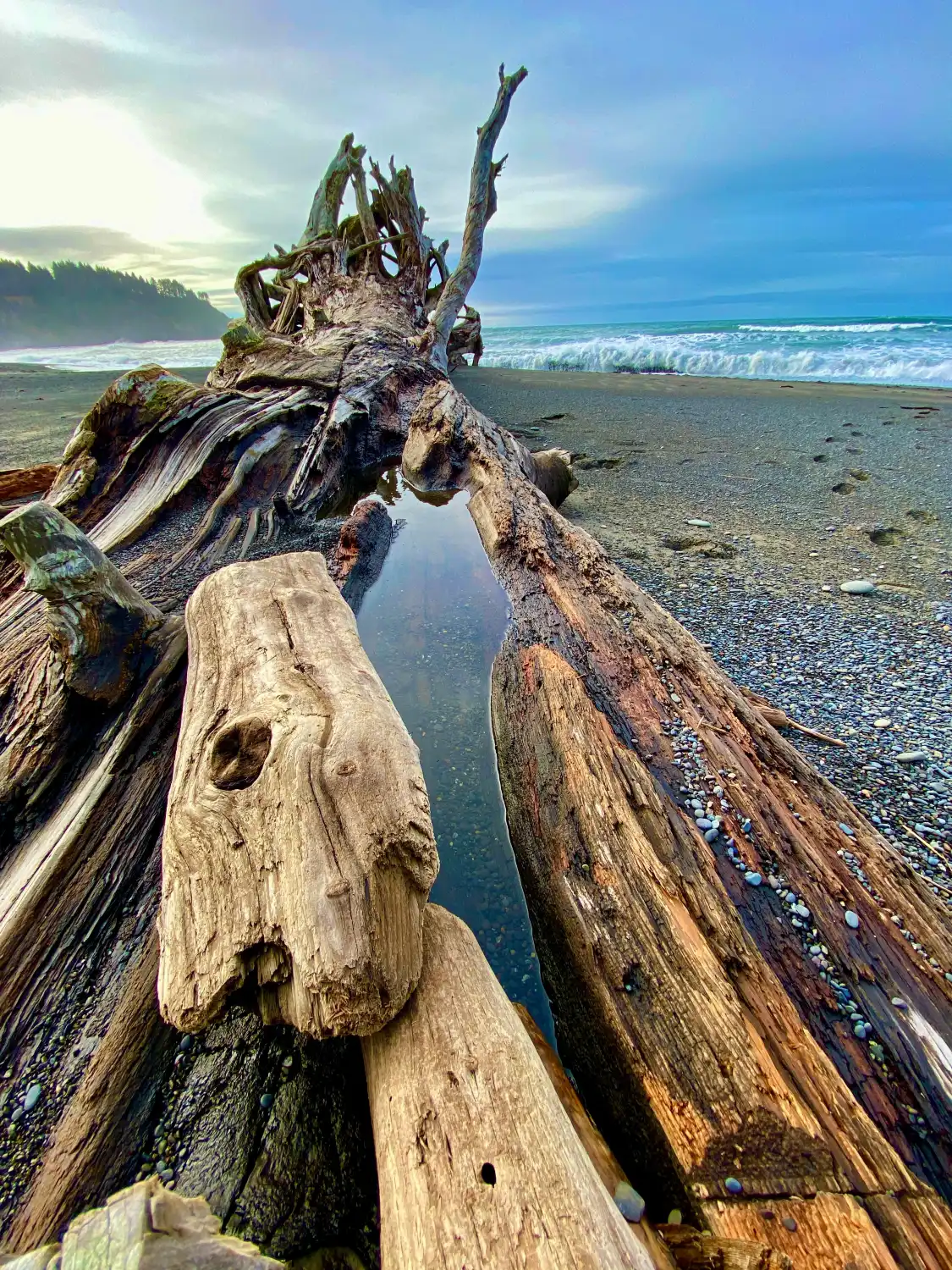 Hotels near La Push Beach