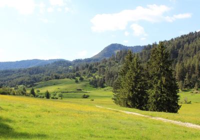 Rhodope Mountains