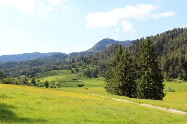 Rhodope Mountains