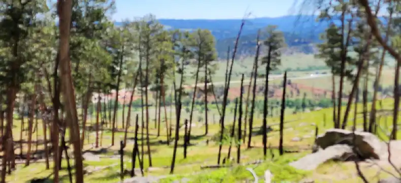 Hotels in Devils Tower