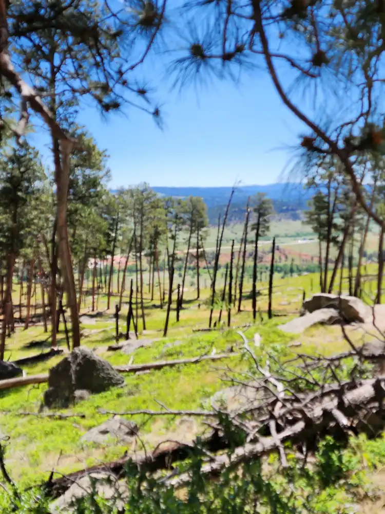 Hotels in Devils Tower