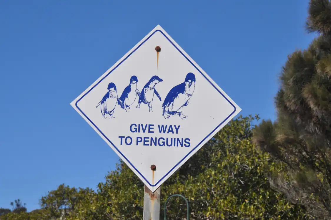 Hotel in zona Penguin Centre