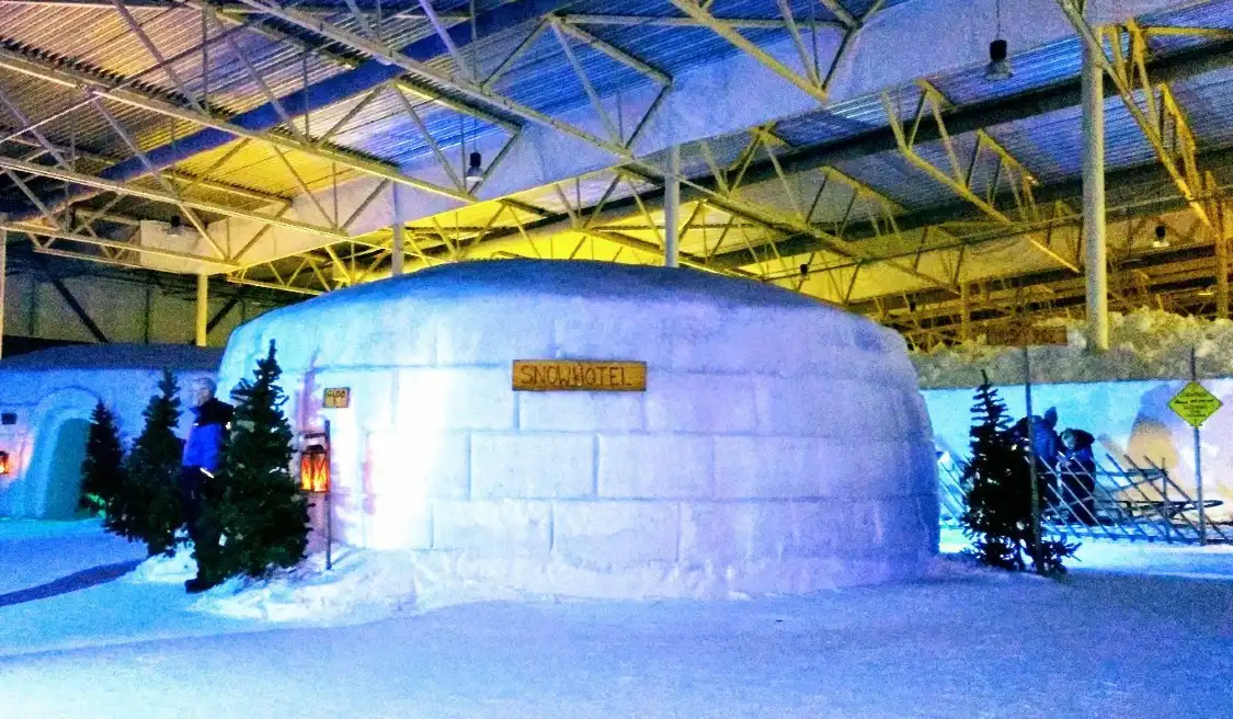Hotels near Winter world