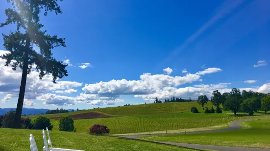 Stoller Family Estate