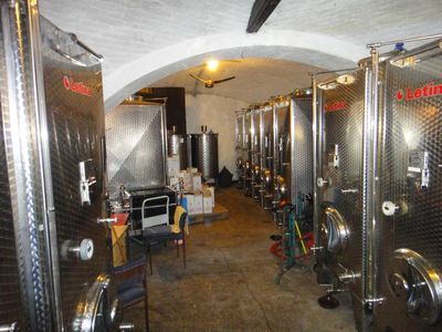 Family winery "Vinik" Vršac