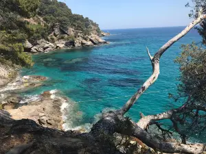 Domaine du Rayol, The Mediterranean Gardens