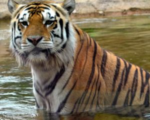 香港-巴吞魯日 機票酒店 自由行