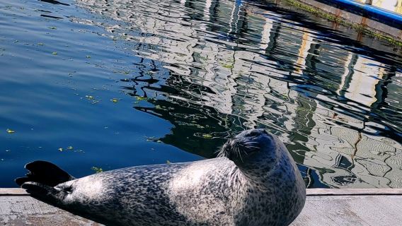 Marine Science Center