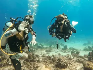 Seafari Turkoise - Dive Center
