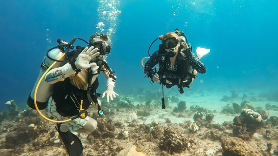 Seafari Turkoise - Dive Center