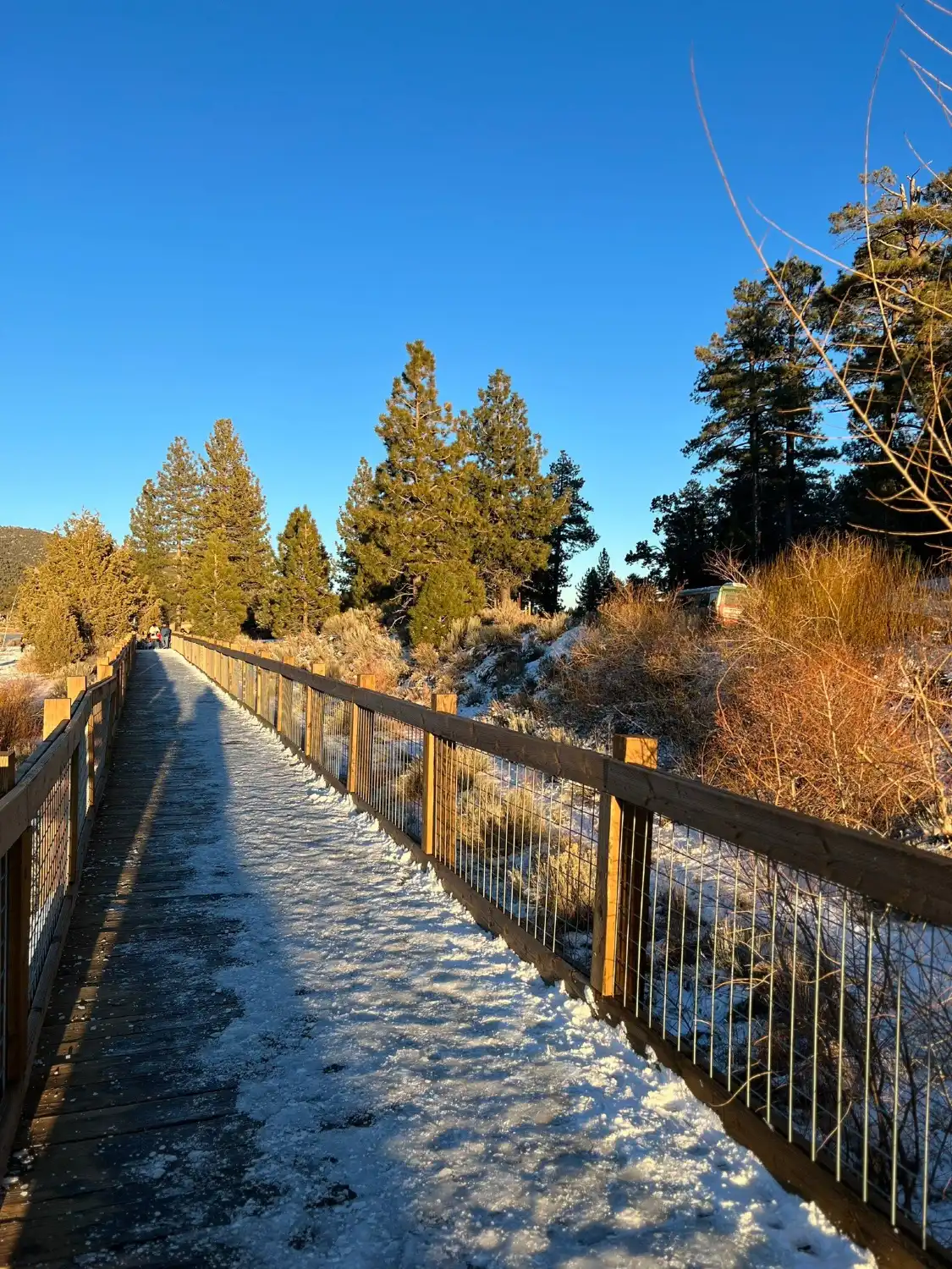 Hotels near Stanfield Marsh Wildlife and Waterfowl Preserve