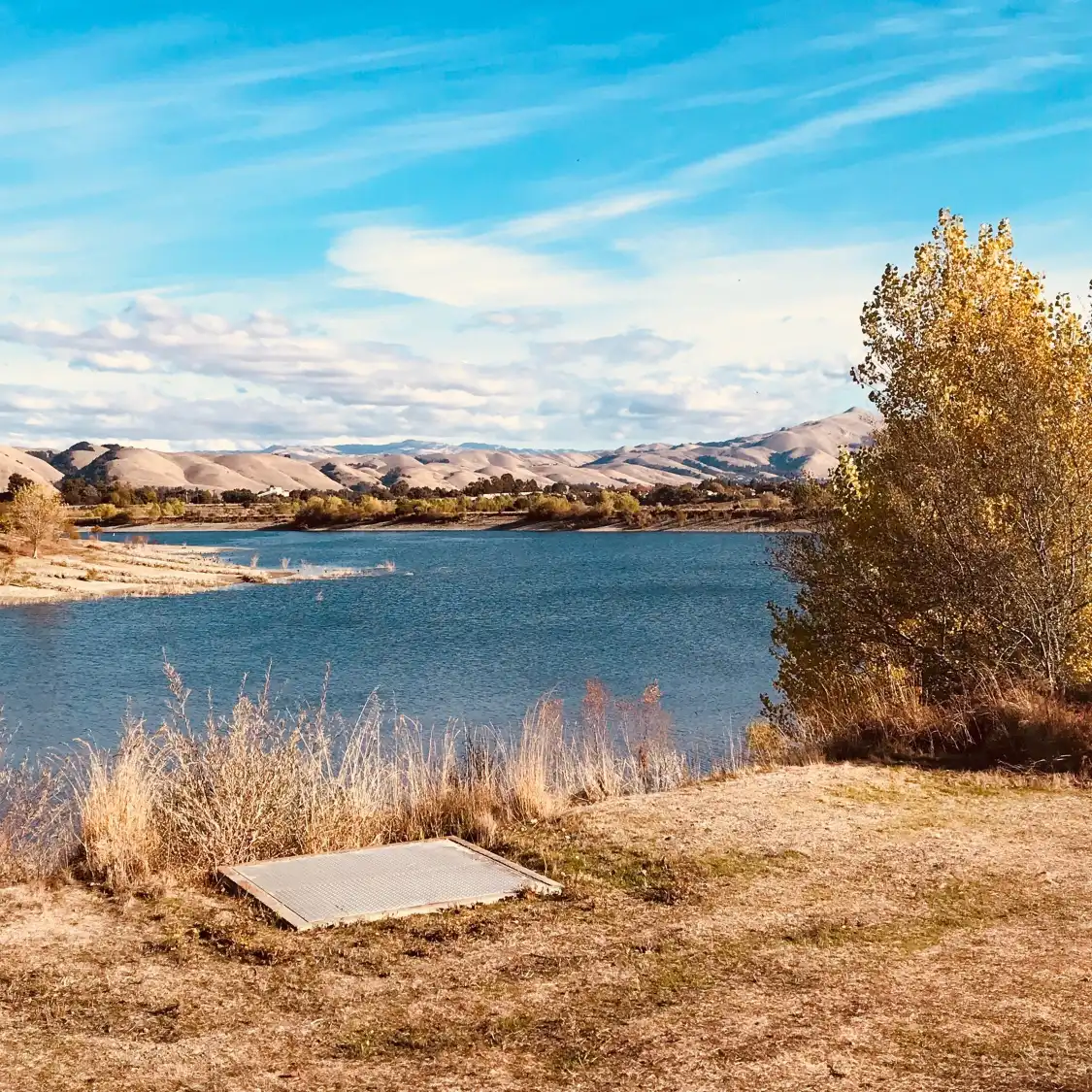 Hotels near Quarry Lakes Regional Recreation Area