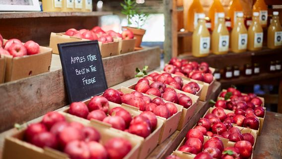 Logan Brae Orchards