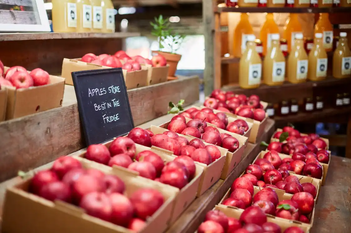 Hotels near Logan Brae Orchards