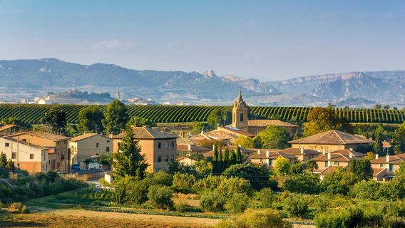 Bodega Conde de los Andes