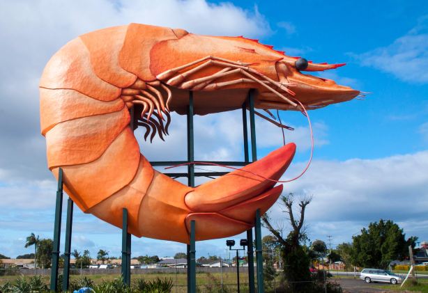 The Big Prawn