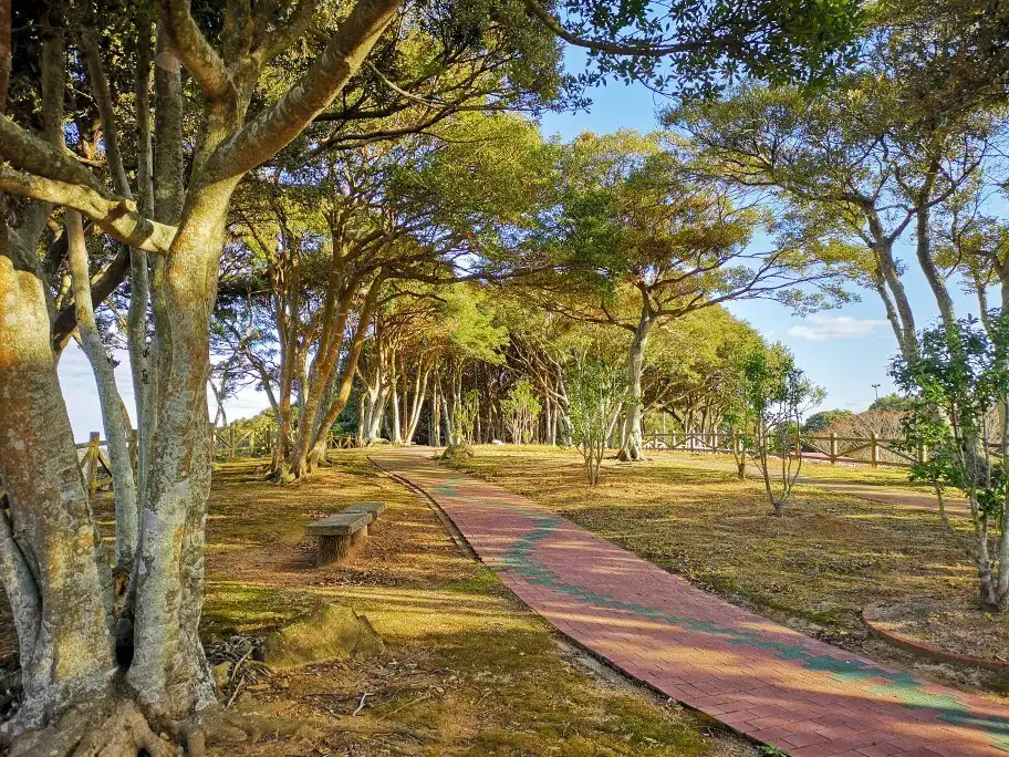 Hotels near Tabira Park