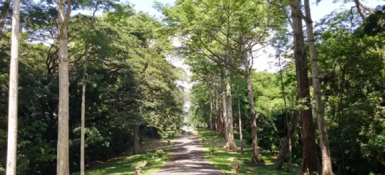 Hotels in Grobogan Regency