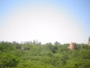 Gosho Park