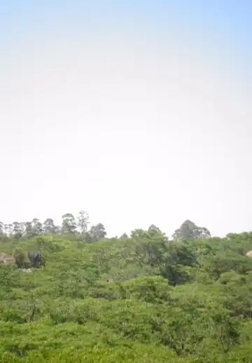 Homestays in Mashonaland East, Zimbabwe