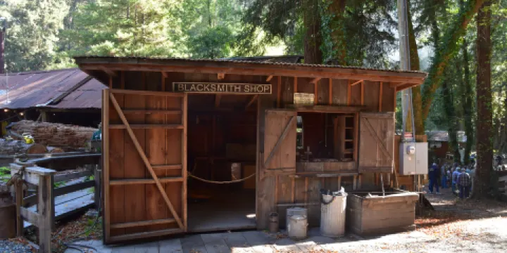 Sturgeon's Mill Restoration Project