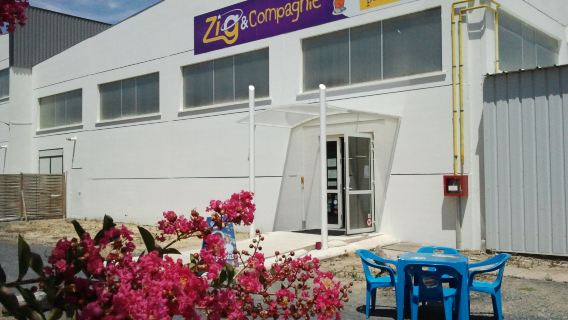ZIG and COMPANY