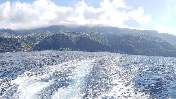 Calheta