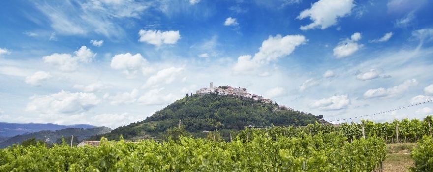 Benvenuti Winery