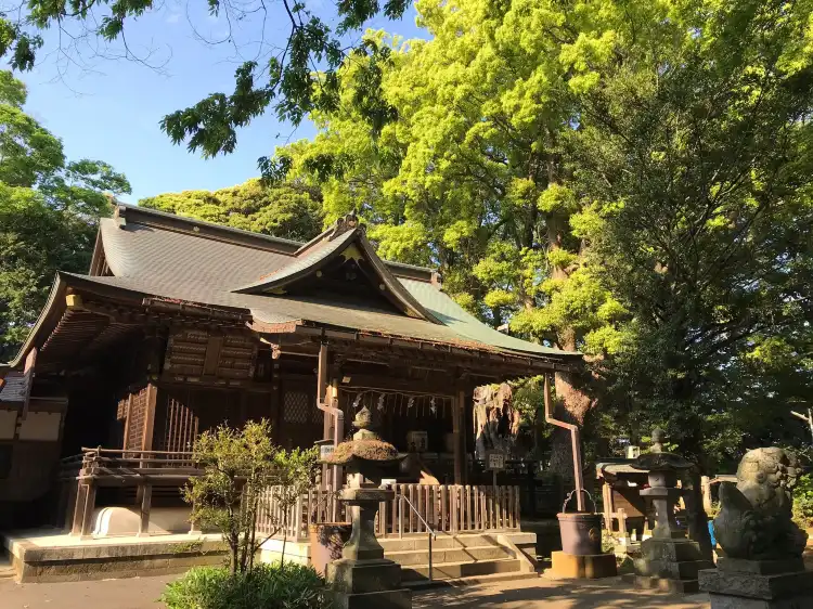 Hotels in Kozaki
