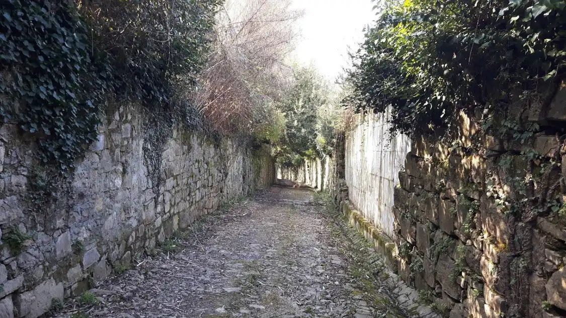 Hotel in zona Viuzzo dei Catinai