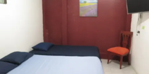 Museo de Historia Natural