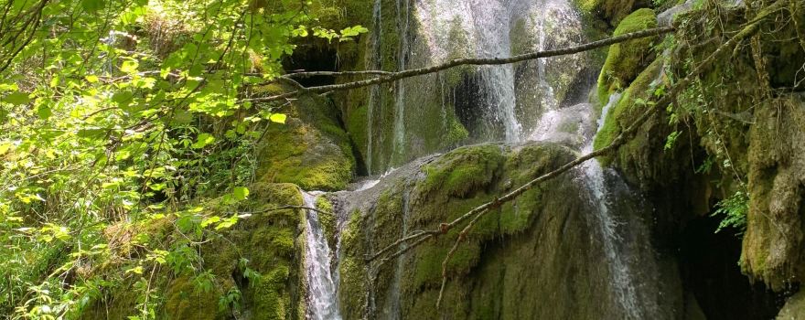 Roquefort-les-Cascades
