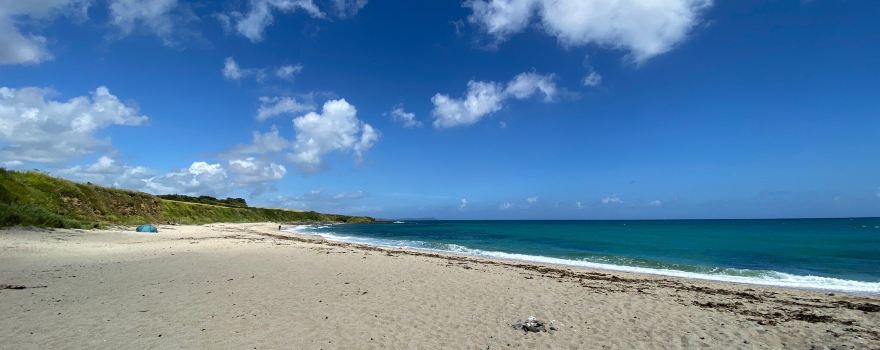Towan Beach