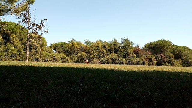 Parco Giovanni Paolo II (Gia Parco La Cava)